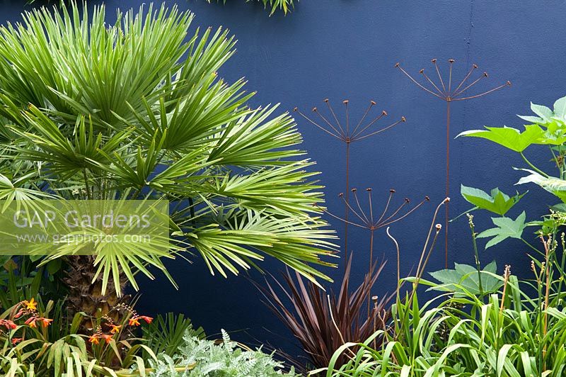 Chusan palm - Trachycarpus fortunei, Fatsia japonica and metal flower sculptures in front of a cobalt blue wall.