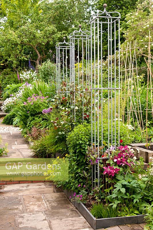 Border with iron obelisks for Clematis and Rosa in long mixed border with perennials shrubs and trees by stone path with steps in backyard garden in summer