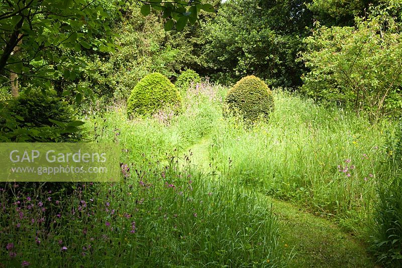 A wildflower meadow punctuated with clipped Yew mounds. Designer Georgia Langton. Farleigh House, Hampshire.
