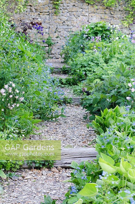 Stepped gravel path with sleepers, lined with Myosotis sylvatica, Aquilegia vulgaris, Anemone foliage and Alchemilla mollis - The Walled Garden at Mells, Somerset