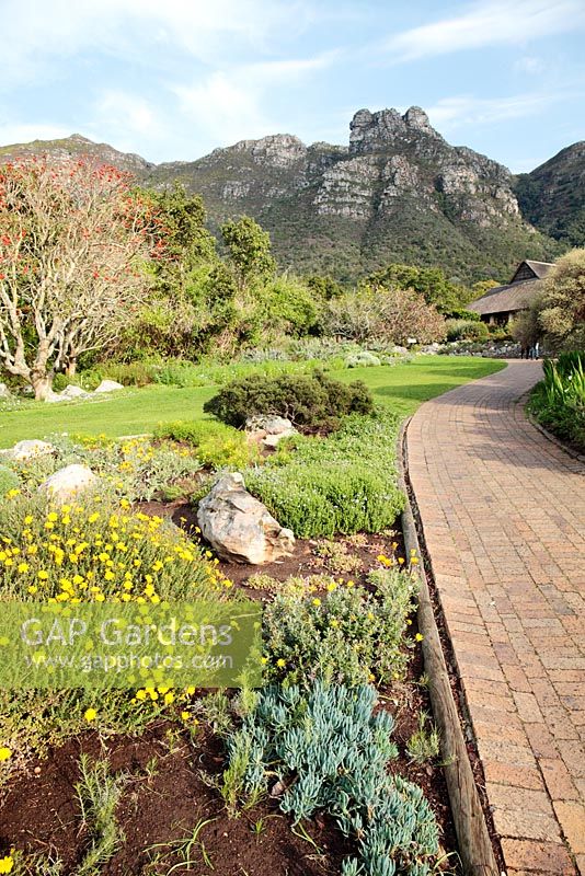 Kirstenbosch National Botanical Garden, Cape Town, South Africa 