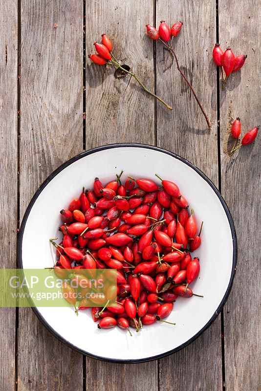 A plate of rose hips.