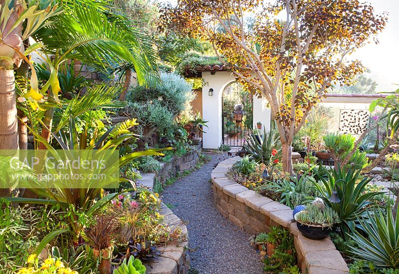 Pathway through walled borders to gateway. Jim Bishop's Garden. San Diego, California, USA. August.