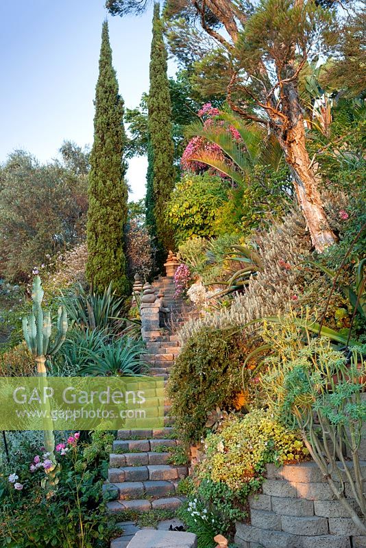 Steps through Jim Bishop's Garden. San Diego, California, USA. August.