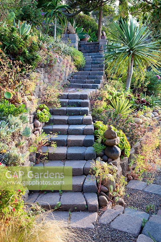View of garden steps through mixed beds to Jim Bishop's Garden. San Diego, California, USA. August.