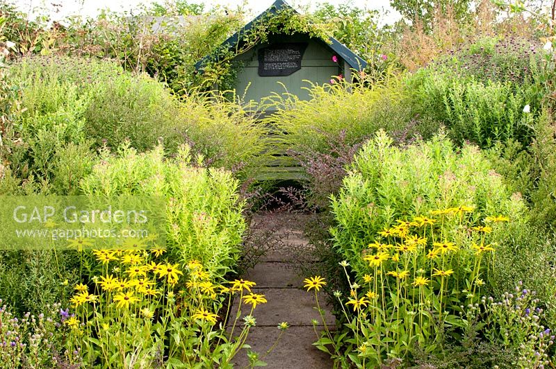 Hideaway garden arbour seat with pathway leading to it and flowerbeds either side with Rudbeckia 'Goldsturm' and Aster varieties September