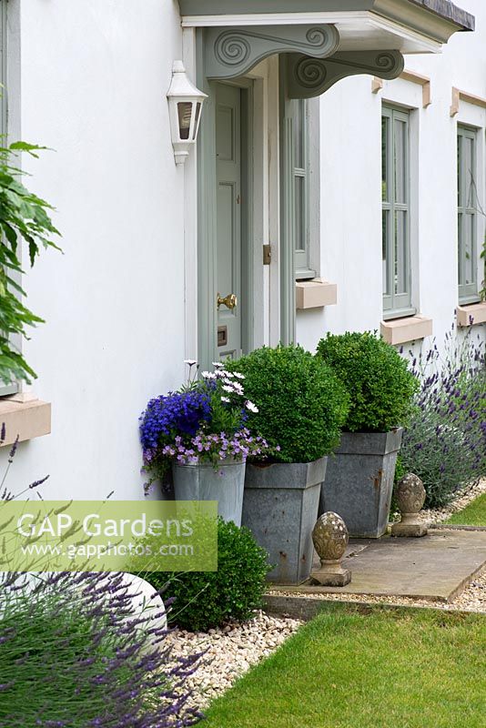 Metal containers with topiary box balls beside a front door. Lavender fills a gravel bed leading along the side of the house.