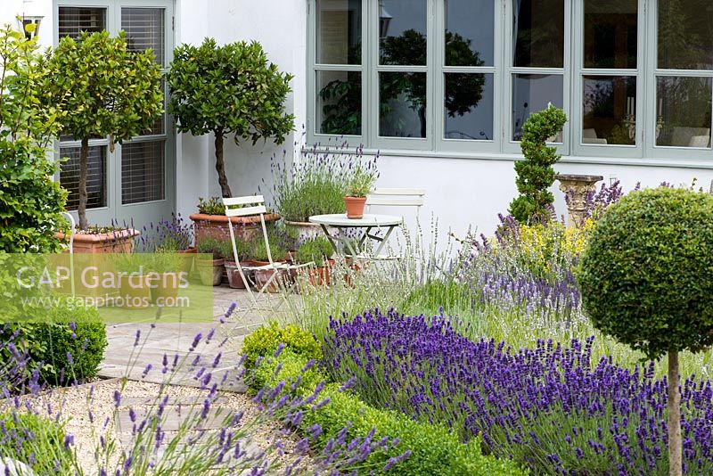 A path leads past box edged borders of lavender and privet standard, to patio seating area with bay trees and lavenders in pots.