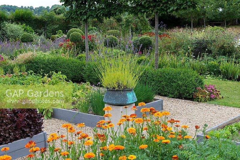 A potager with raised beds of vegetables and flowers. A stone plith with a copper pot planted with lavender provides a central focal point.