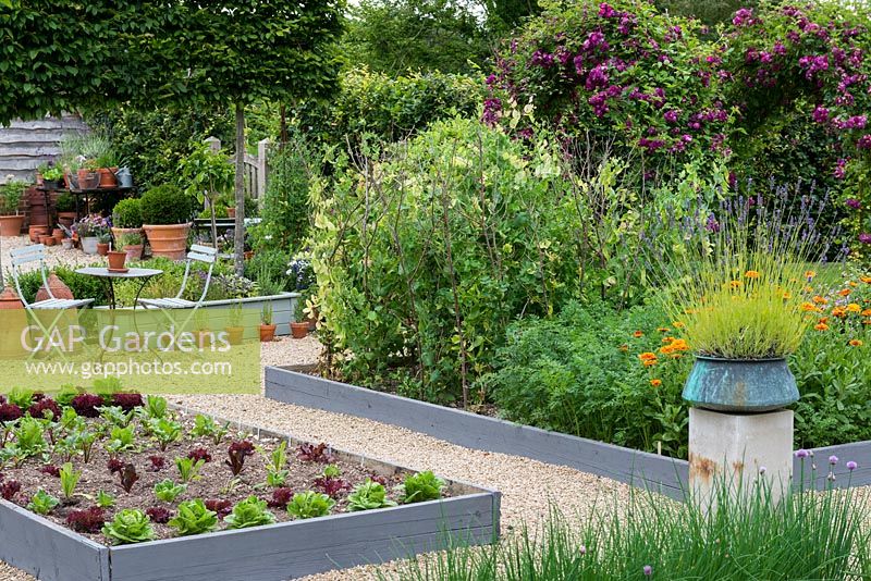 A potager with raised beds of vegetables and flowers, including salad leaves, peas, carrots and marigolds. A stone plith with a copper pot of lavender provides a focal point on the central axis.