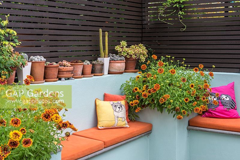 An outdoor room with built in benches, raised beds planted with Gaillardia and terracotta pots with cacti and succulents.