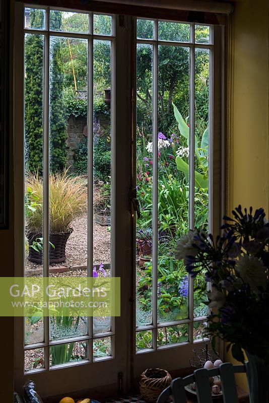 View from kitchen window into 12m x 6m town garden, and a courtyard edged in beds packed with unusual and exotic plants. In pot, Anemanthele lessoniana, syn. Stipa arundinacea, pheasant's tail grass