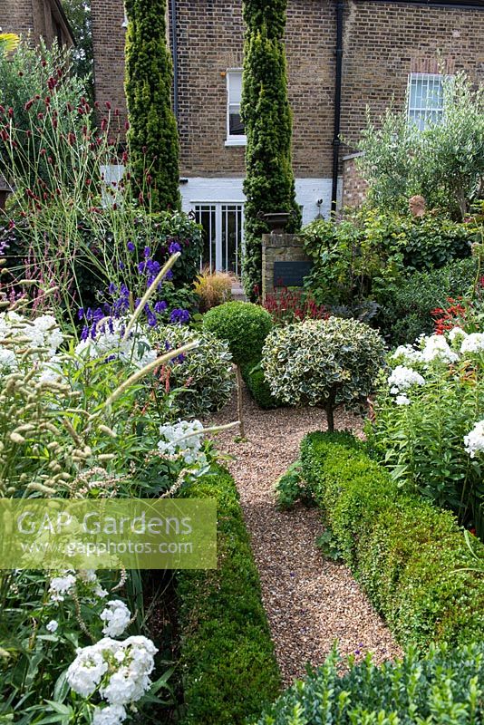 In 12m x 6m town garden, formal parterre with box and variegated holly standards, and box edged beds of Phlox paniculata 'David', Aconitum 'Spark's Variety', sanguisorba and red or pink persicarias.