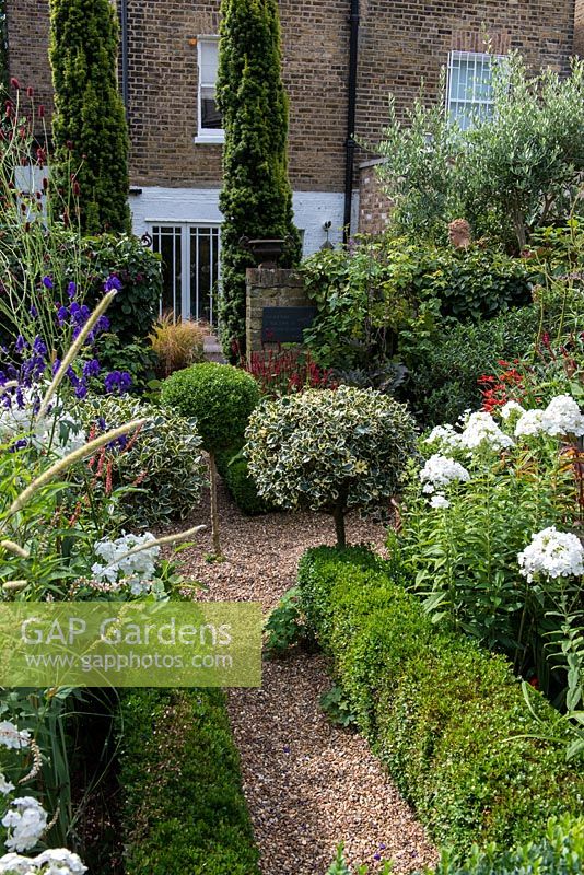 In 12m x 6m town garden, formal parterre with box and variegated holly standards, and box edged beds of Phlox paniculata 'David', Aconitum 'Spark's Variety' and red or pink persicarias.