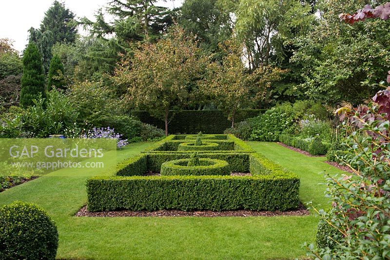 A formal garden with a box parterre, box balls and lawn. At the far end Malus Royalty trees form an arch.