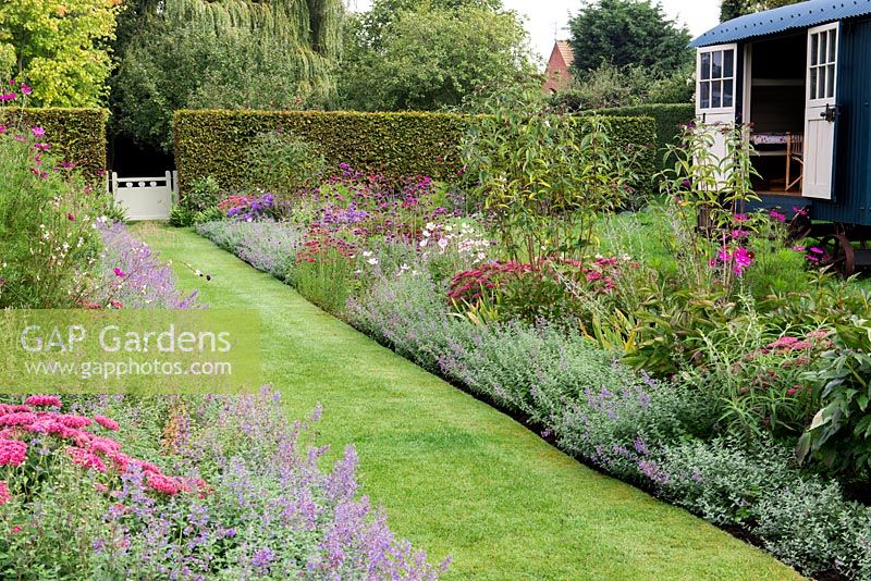 A grass path running between a pink and purple double border planted with Nepeta 'Six Hills Giant', Aster 'Jungfrau', Salvia bethellii, Dahlia 'Purple Haze', Sedum 'Autumn Joy', Buddleja and Cosmos 'Dazzler'. On the right a summer house called the Shepherd's Hut.