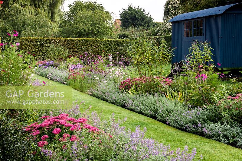 A grass path running between a pink and purple double border planted with Nepeta 'Six Hills Giant', Aster 'Jungfrau', Salvia bethellii, Dahlia 'Purple Haze', Sedum 'Autumn Joy', Buddleja and Cosmos 'Dazzler'. A summer house called the Shepherd's Hut
