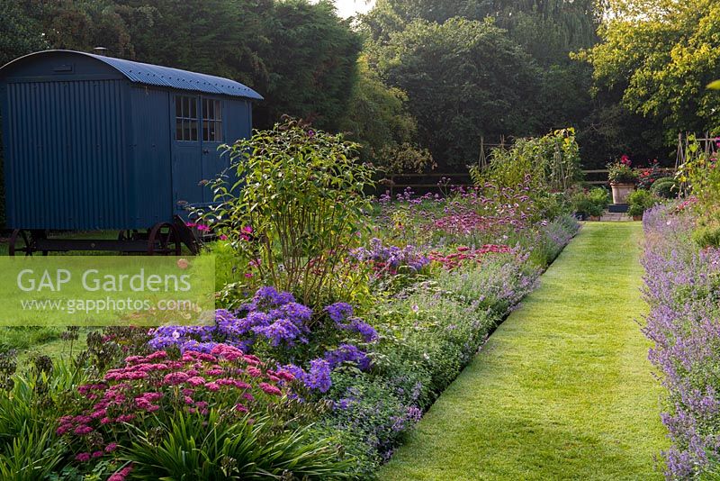 A grass path running between a pink and purple double border planted with Nepeta Six Hills Giant, Aster Jungfrau, Salvia bethellii, Dahlia Purple Haze, Sedum Autumn Joy, Buddleja and Cosmos Dazzler. On the left a summer house called the Shepherd's Hut.