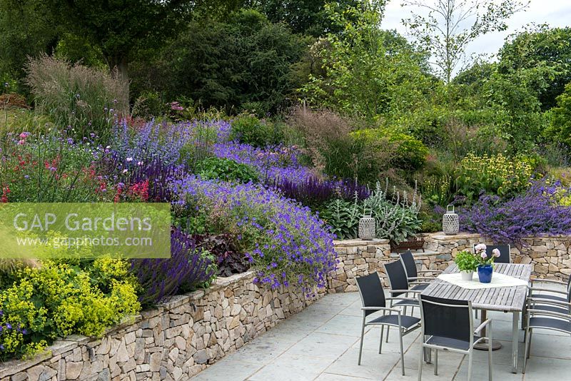 A patio dining terrace alongside a large bank planted with perennials and ornamental grasses. Planting includes: Salvia 'Caradonna', Geranium 'Rozanne', Campanula persicifolia, Alchemilla mollis, Penstemon 'Garbet' and Molinia 'Karl Foerster'.