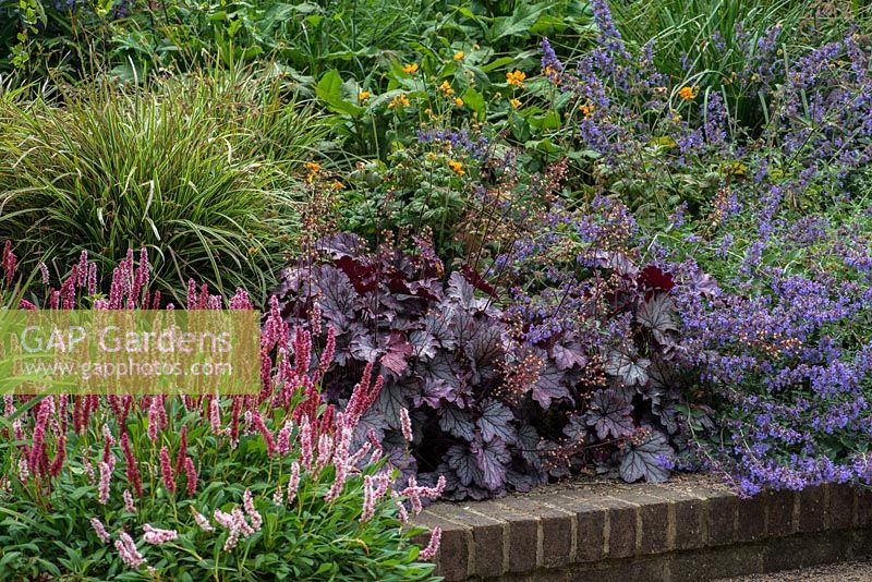 A sloping raised border planted with Persicaria 'Fat Domino', Heuchera 'Plum Pudding', Salvia officinalis and Geum 'Fireball'.