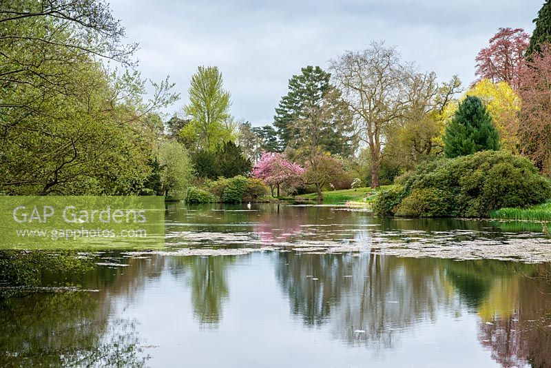 The lake at Millichope Park, an English landscape garden dating from 18th century.