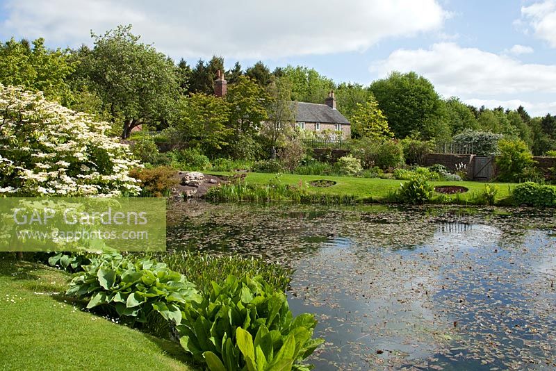 View of the pond in the gardens of Felley Priory, Underwood Nottingham.