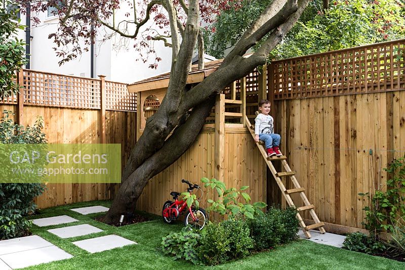 Child playing in garden. Planting includes: Prunus lusitanica, Fagus sylvatica purpurea treehouse, Buxus semperivens, Geranium phaem, Hydrangea 'Annabelle', astroturf
