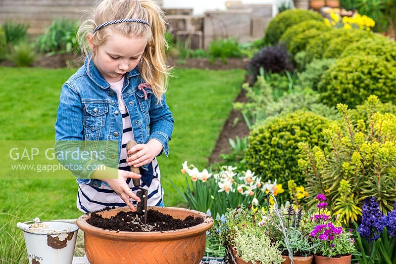 A young girl planting alpine plants in a terracotta container. Add gravel to improve drainage.