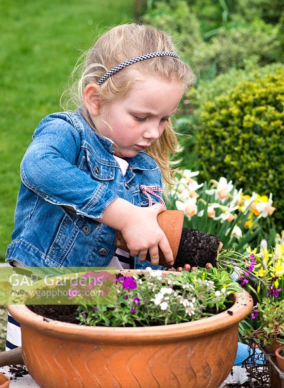 Young girl planting an alpine container garden. Space the plants evenly leaving room to grow.