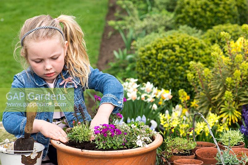 Young girl planting an alpine container garden. Space the plants sufficiently apart to allow room for growth.
