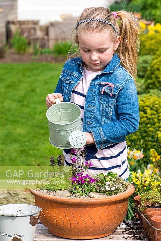 Young girl planting an alpine container garden. Water well.