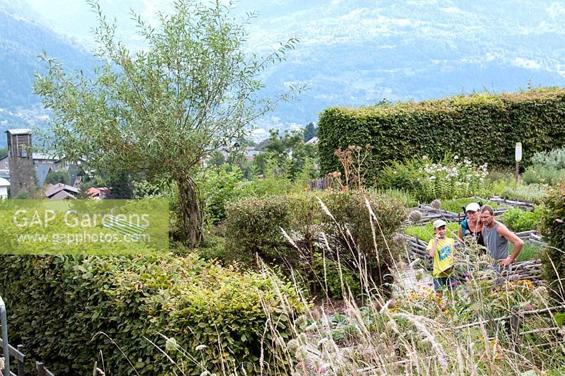 Family in the formal herb garden, with planted squares woven around the sides and sheltered by hedges at Jardin des Cimes, Chamonix, France. July 