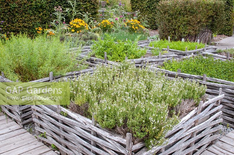 Formal herb garden with planted squares woven around the edges. Nearest planted with Satureja montana - Winter savory in Jardin des Cimes, Chamonix, France. July 