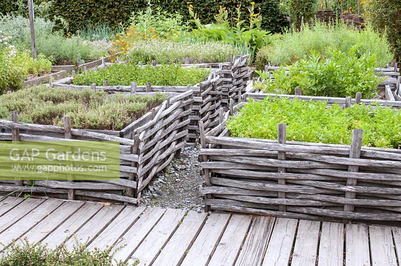 Formal herb garden with planted squares woven around the sides. Jardin des Cimes, Chamonix, France. July