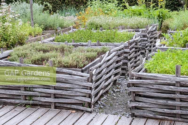 Formal herb garden with planted squares woven around the sides. Jardin des Cimes, Chamonix, France. July 