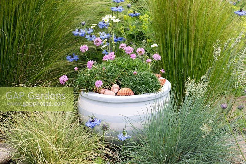 Terracotta pot painted in seaside themed colours. Planted with sea pinks and mossy saxifrage, and mulched with sea shells. Placed on oak cube, in contemporary setting of ornamental grasses.