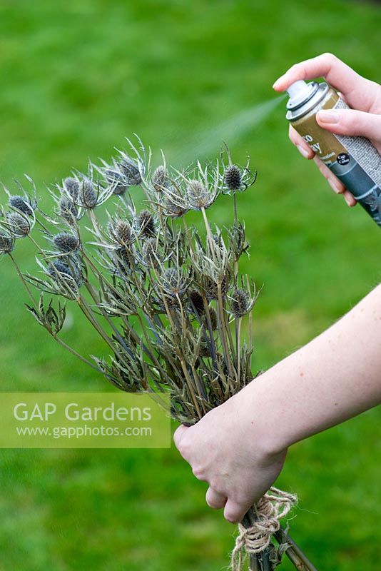 Creating a festive table decoration with garden flowers and seed heads. Spray dried sea holly with silver paint outside.