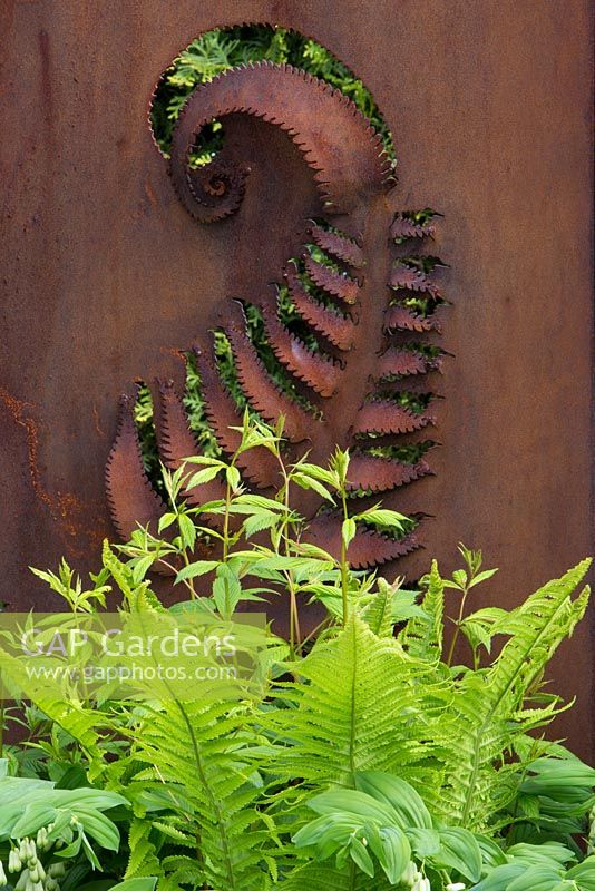 Rusted steel fern wall panel fence, planting of Ferns, Hosta, Constraining Nature garden - designed by Kate Durr Garden Design - Best Festival Garden award and a gold medal - RHS Malvern spring festival 2015