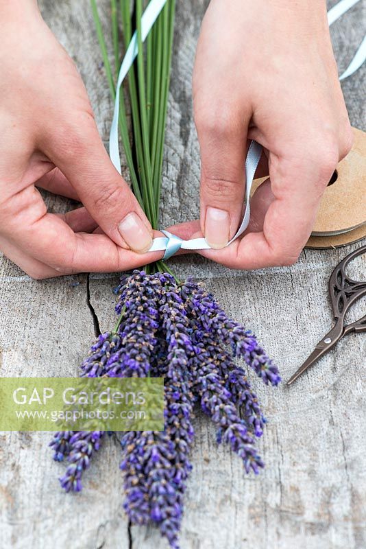 Making a lavender wand step by step. Tightly tie a knot with a length of ribbon, just below the flower heads. Leave a metre of ribbon at one end.