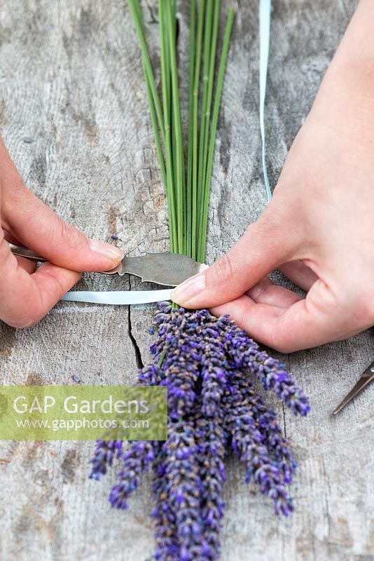 Making a lavender wand step by step. Use a butter knife to gently compress the stems just below the ribbon. This makes the stems more pliable so they can be bent without breaking.