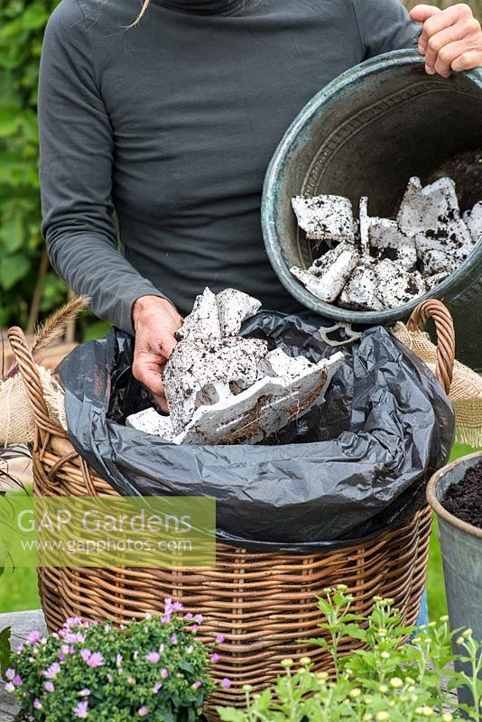 Planting a log basket with early autumn flowering perennials. Adding broken polystyrene to the base of the basket, to both aid drainage, and use less soil thereby reducing weight of basket