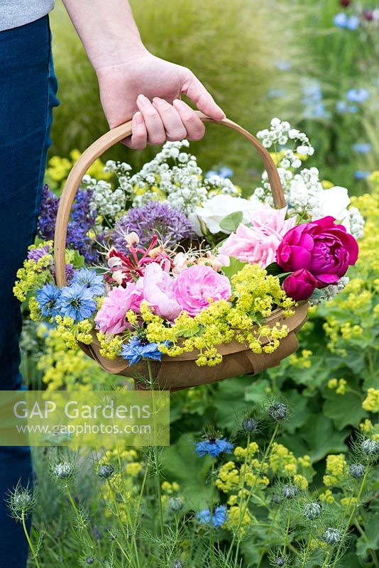 A trug of fresh flowers including roses, peonies, lady's mantle, love in the mist, honeysuckle catmint 