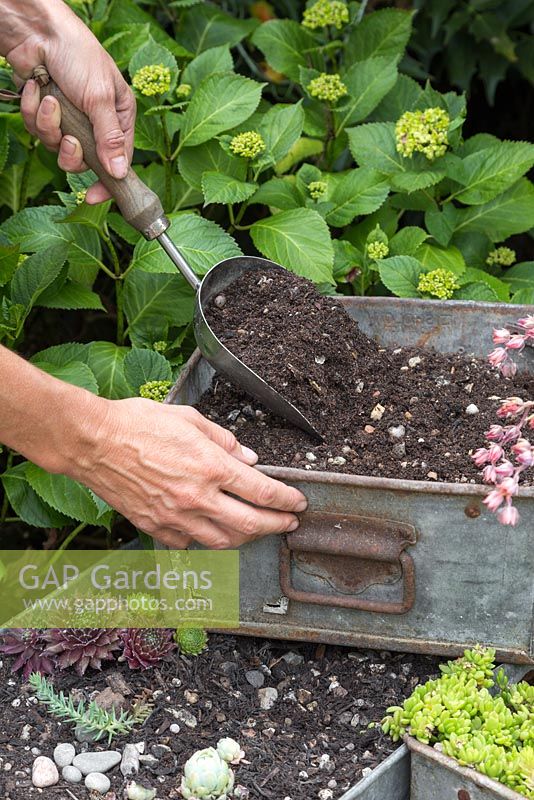 Fill the metal containers with the compost and gravel mix