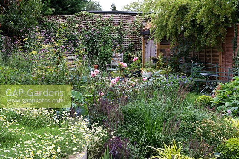 A small cooks garden with patio seating area surrounded by mixed borders with herbs, flowers and vegetables - roses, chamomile, salvia, orach and see through Verbena bonariensis,