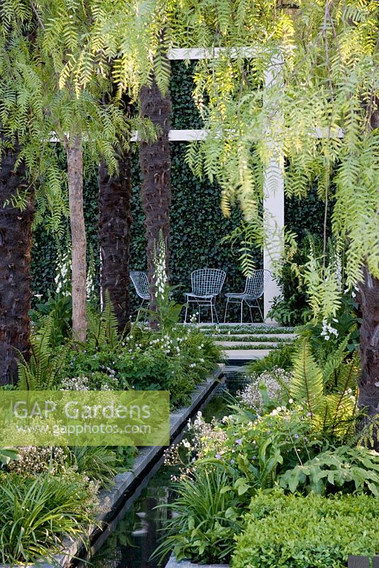 Rill edged in white stone overhung by Schinus molle - Peruvian Pepper tree. Metalwork seats at end. RHS Chelsea Flower Show garden, Design Robert Myers 