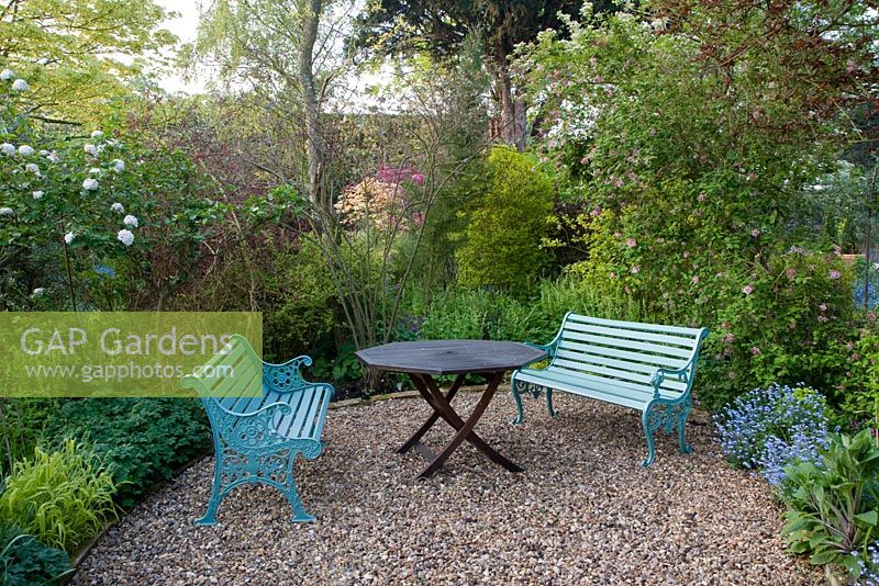 Sheltered gravel garden with table and blue wrought-iron benches. Plants include viburnum and lilac, underplanted with Myosotis alpestris -forget-me-not, Millium effusum 'Aureum' - Bowles' golden grass, Tellima grandiflora and hardy geraniums.