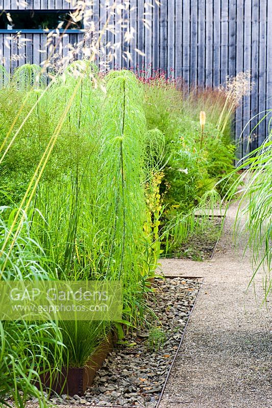The front garden was designed by Christopher Bradley-Hole on a grid pattern, with tall grasses and subtle flowering perennials, including Stipa gigantea, Helianthus salicifolius and sanguisorbas, to give a contemporary meadow feel. Bury Court Barn, Bentley, Hants, UK