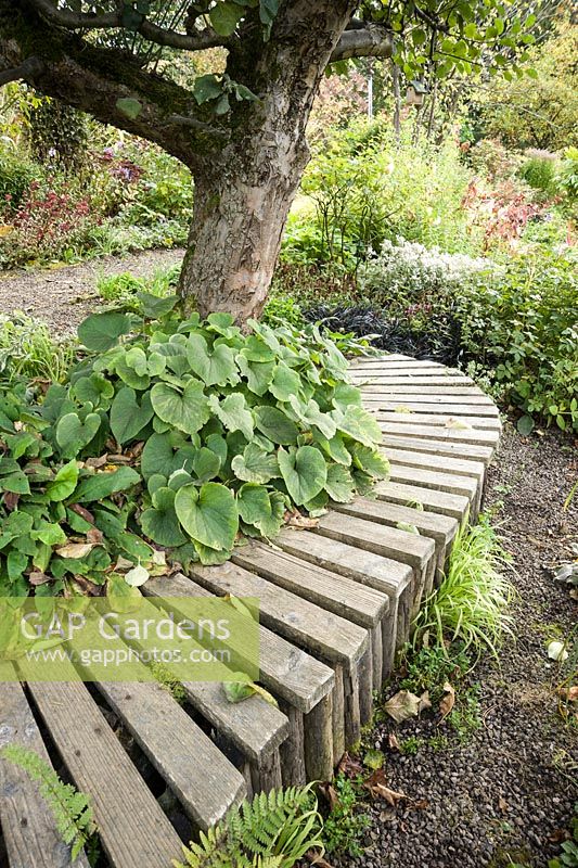 An old apple tree on the bank behind the house is underplanted with Brunnera macrophylla 'Hadspen Cream' and framed by a curving slatted wooden bench.
