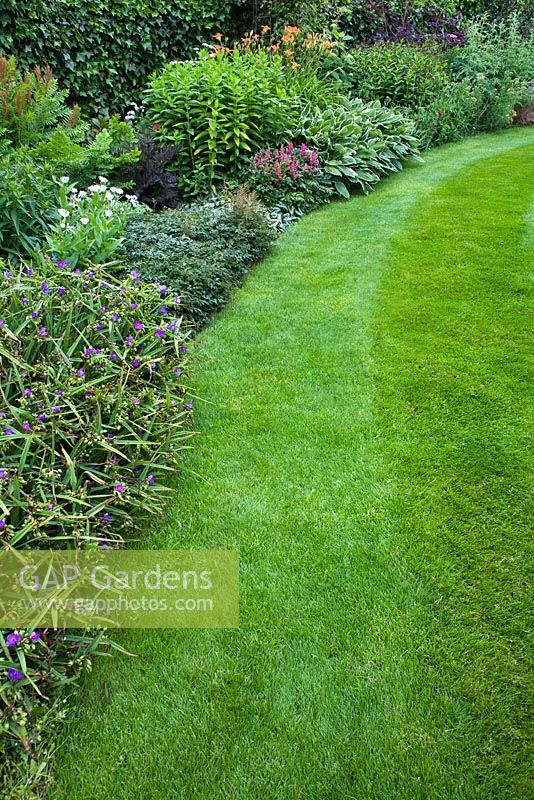 Summer border and lawn with mown pattern.