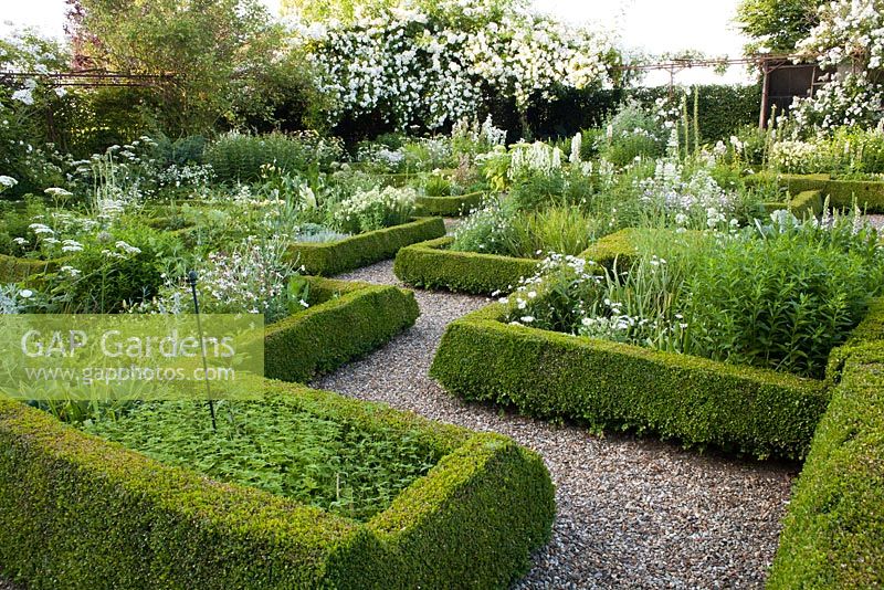 Knot garden with patterned Buxus hedges. White garden.